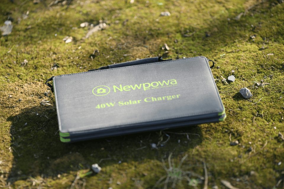 The Rise of Lithium-Ion Batteries